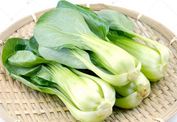 SHANGHAI PAK CHOI  上海小青菜
